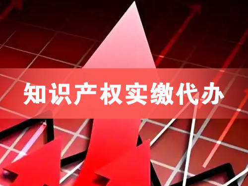 博乐知识产权实缴资本代办